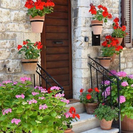 아시시 Casa Gentile 아파트 외부 사진