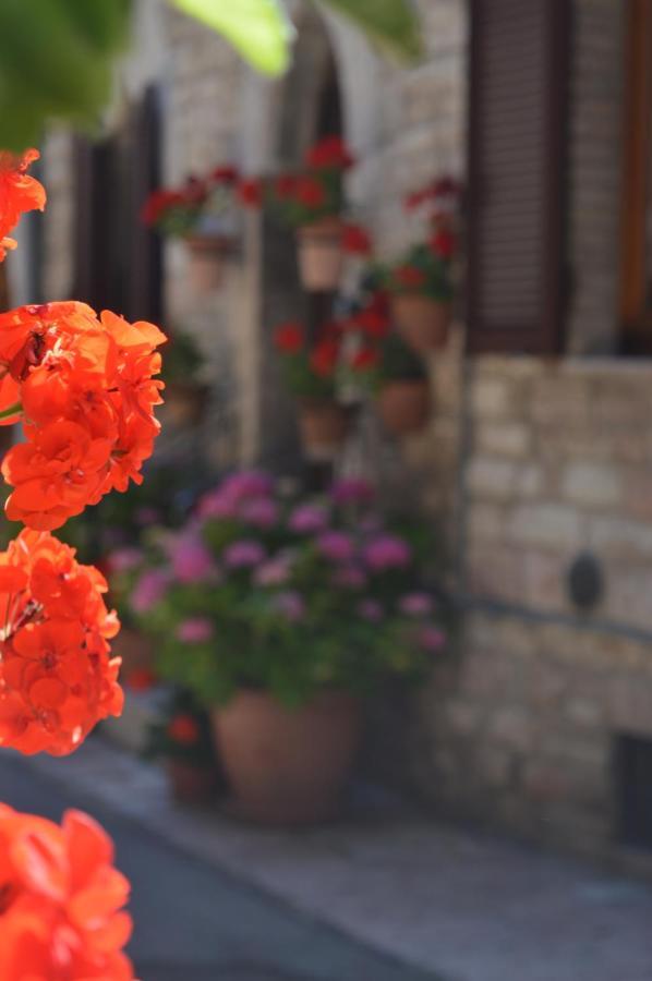 아시시 Casa Gentile 아파트 외부 사진